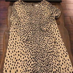 Fun cheetah print shift dress